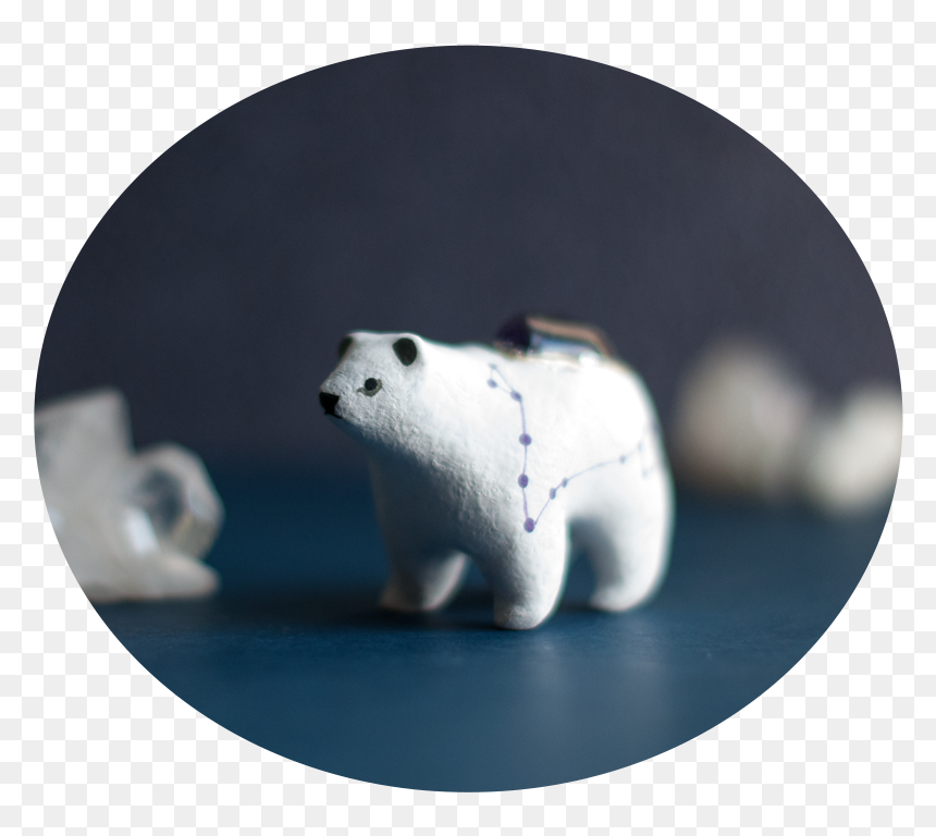 Polar Bear, HD Png Download - polar png
