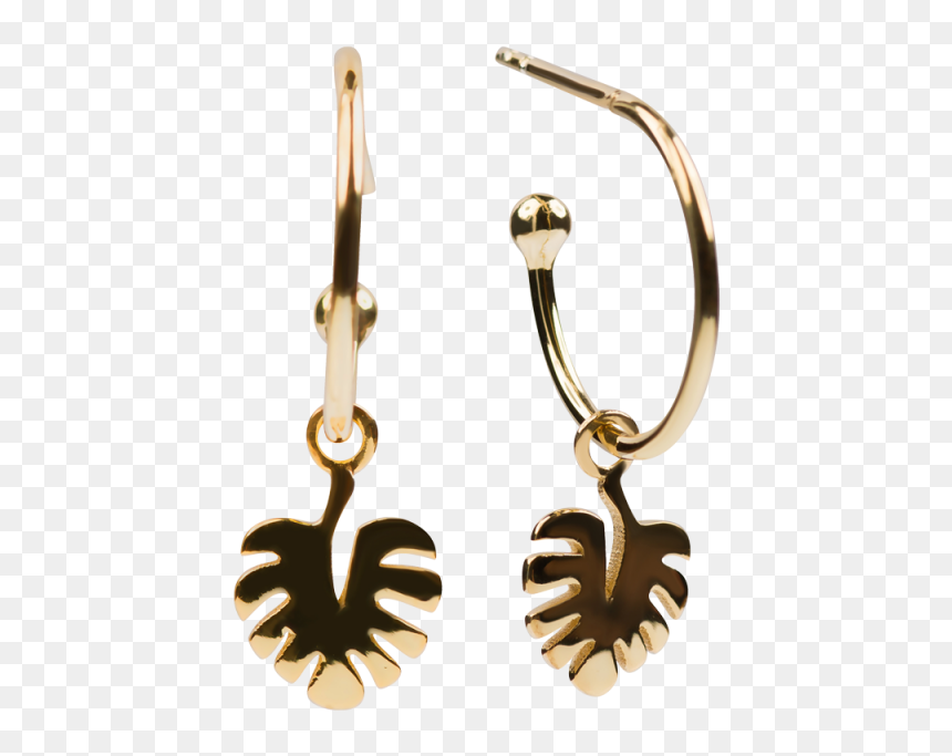Earrings, HD Png Download - gold color png
