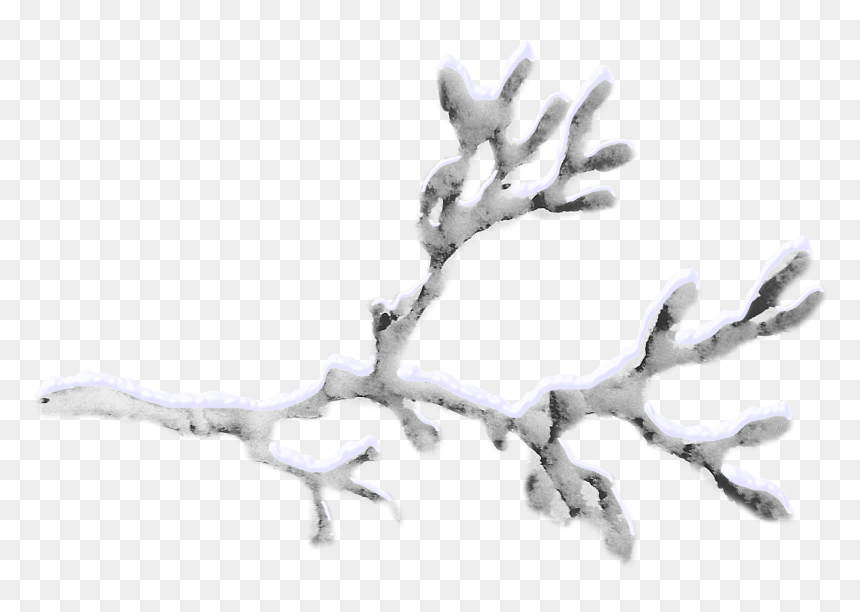 Snow-covered Branches Png Download - Snow Tree Branch Png, Transparent Png - tree branch clipart png