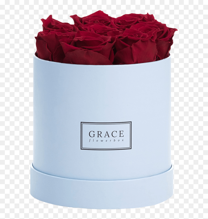 Garden Roses, HD Png Download - burgundy flower png