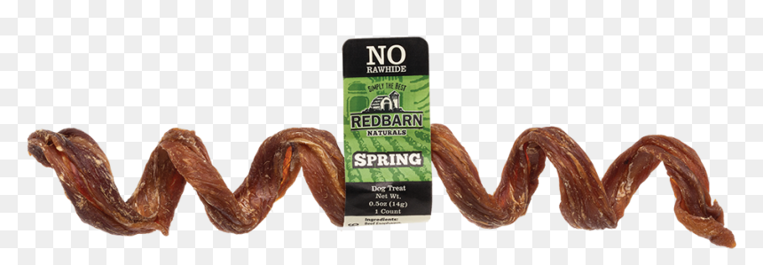 Esophagus Spring - Wood, HD Png Download - esophagus png