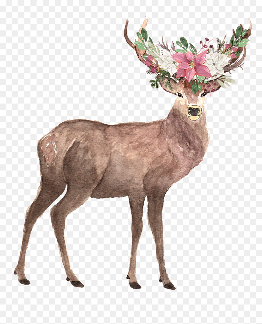 Elk, HD Png Download - reindeer antlers png tumblr