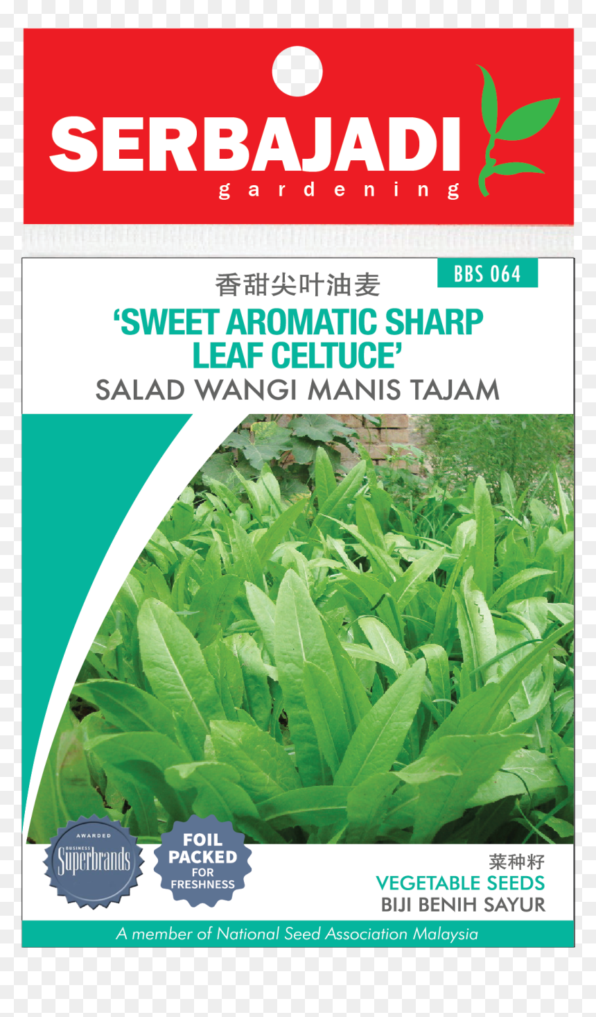 Seed Lettuce Malaysia, HD Png Download - arugula png