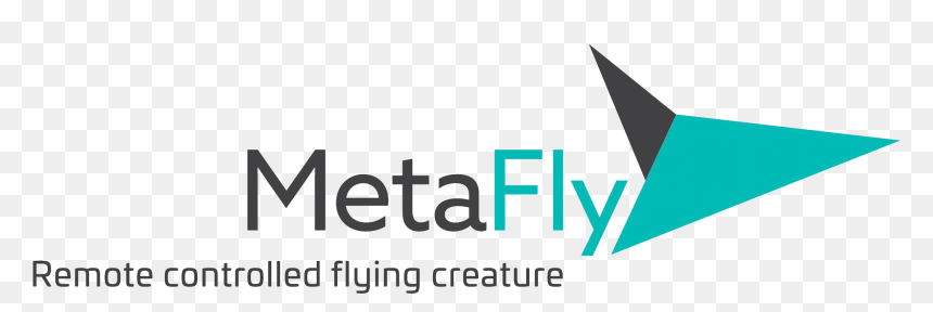 Graphic Design, HD Png Download - flying books png