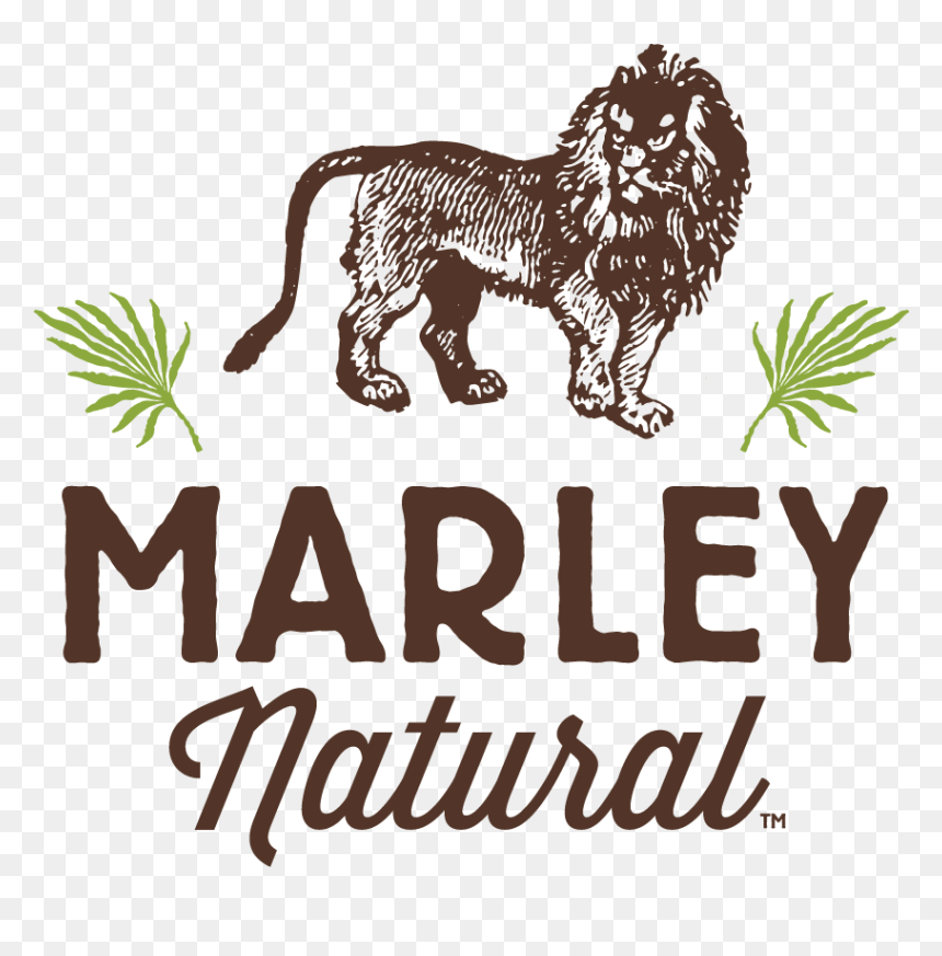 Marleys Natural, HD Png Download - gucci mane ice cream tattoo png