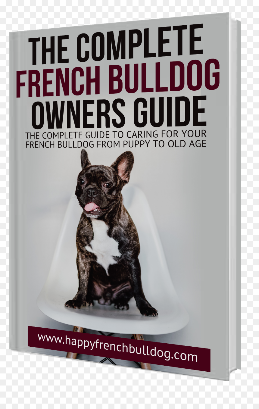 French Tech, HD Png Download - old book cover png
