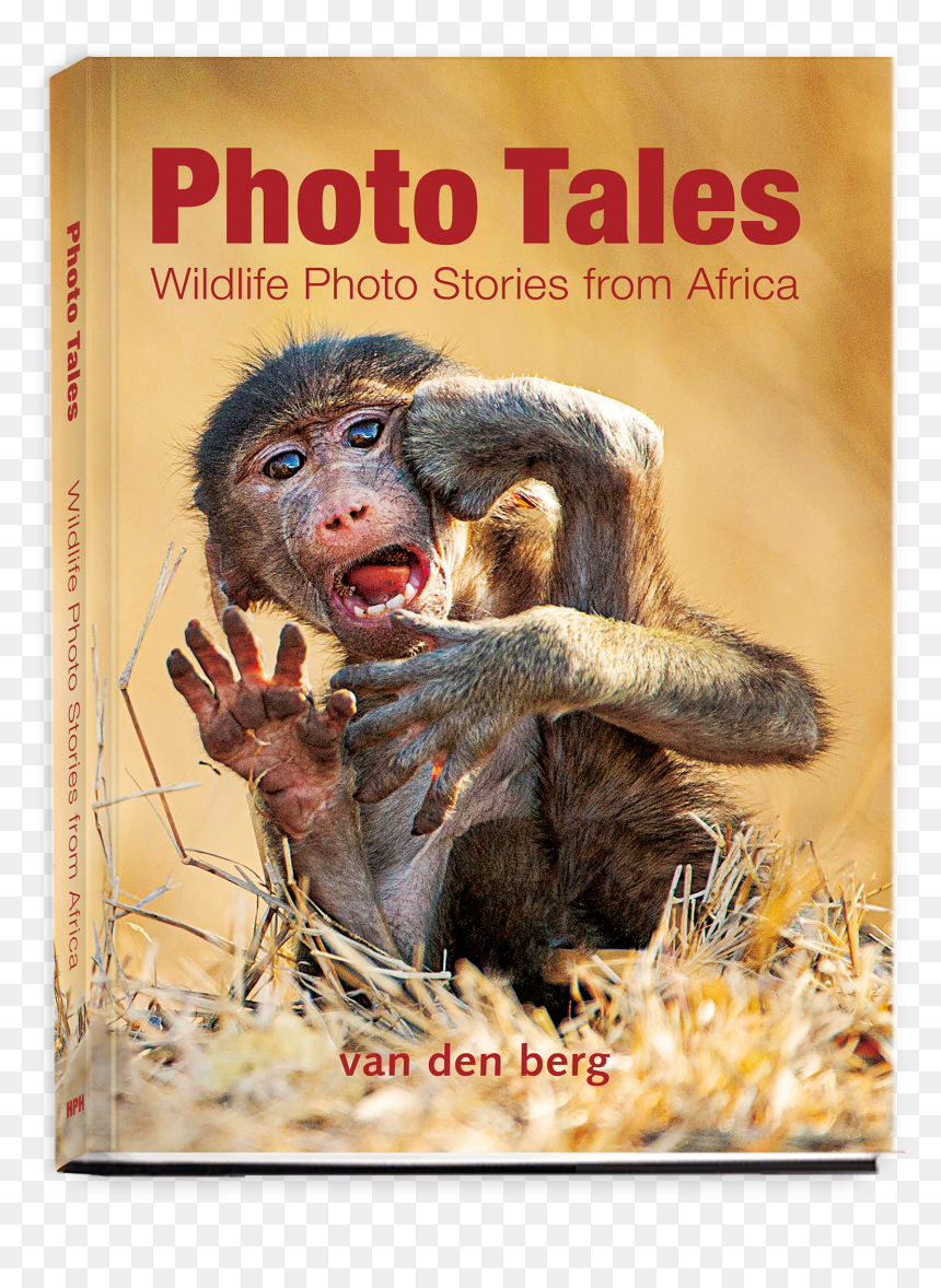 Photo Tales"
 Class= - You Tube, HD Png Download - old book cover png