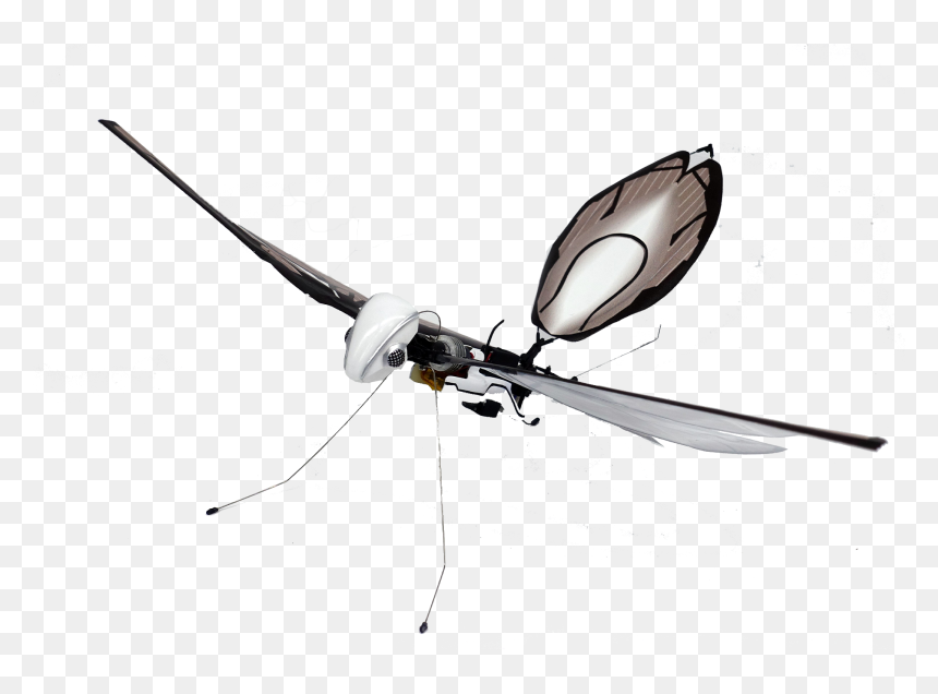 Dragonfly, HD Png Download - insect wings png