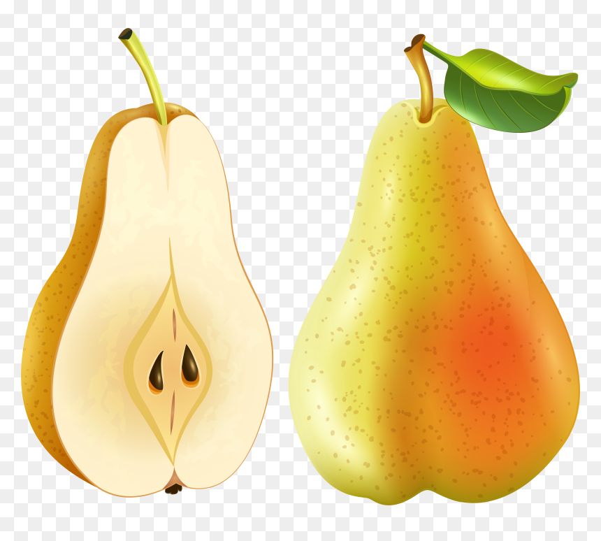 Pear Smoothie Clip Art, HD Png Download - pear tree png
