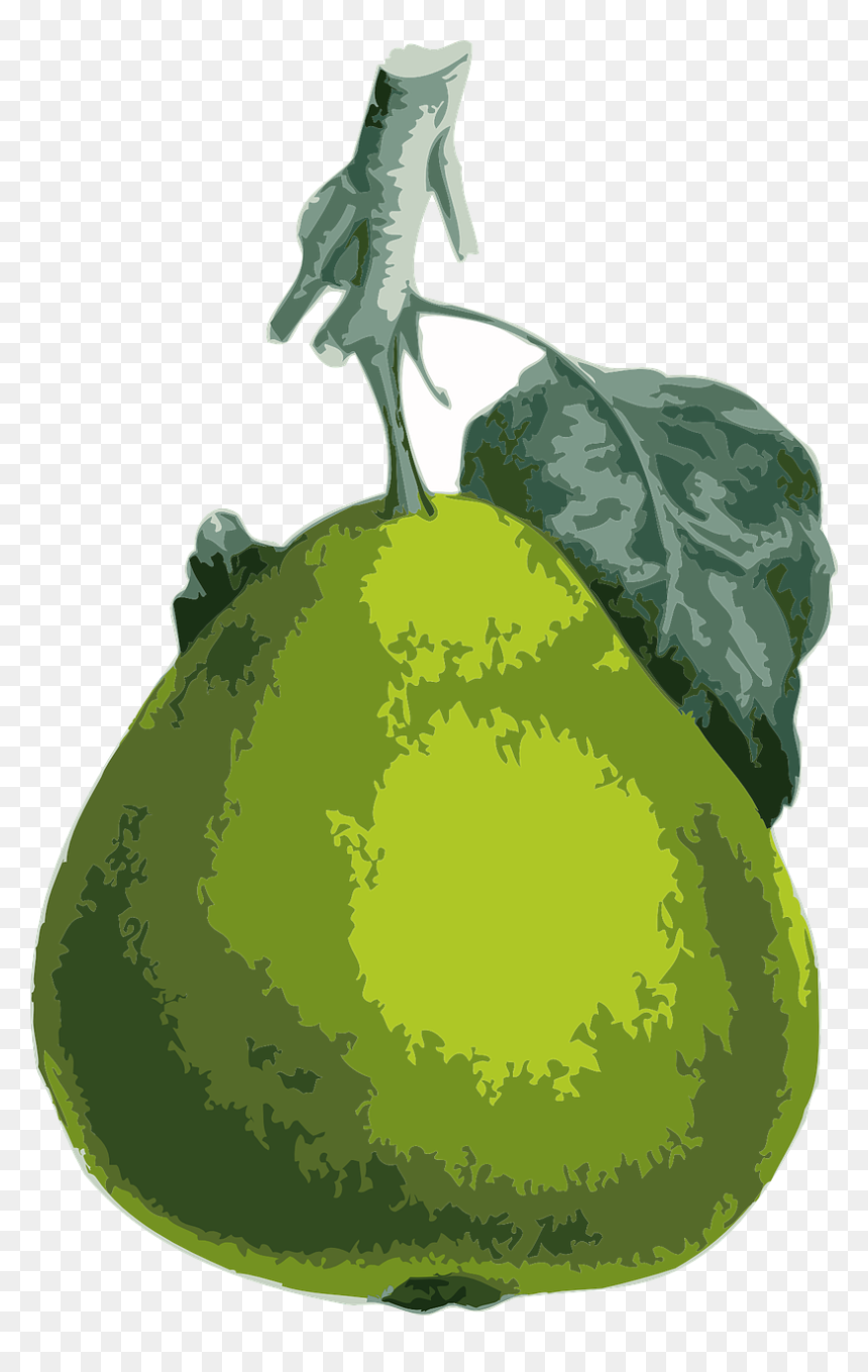 Pear, HD Png Download - pear tree png