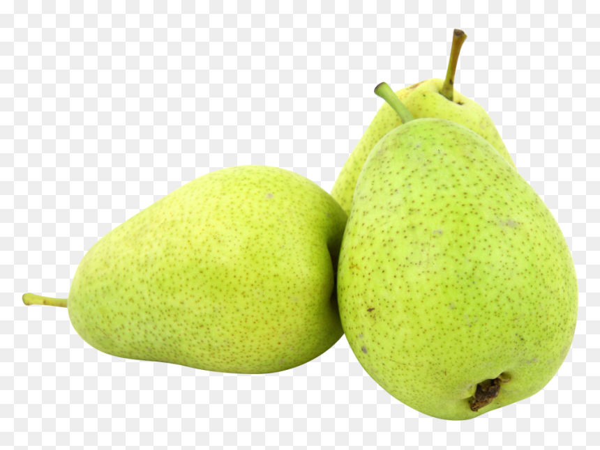Pears Png Image - ผล ไม้ สี เขียว, Transparent Png - pear tree png