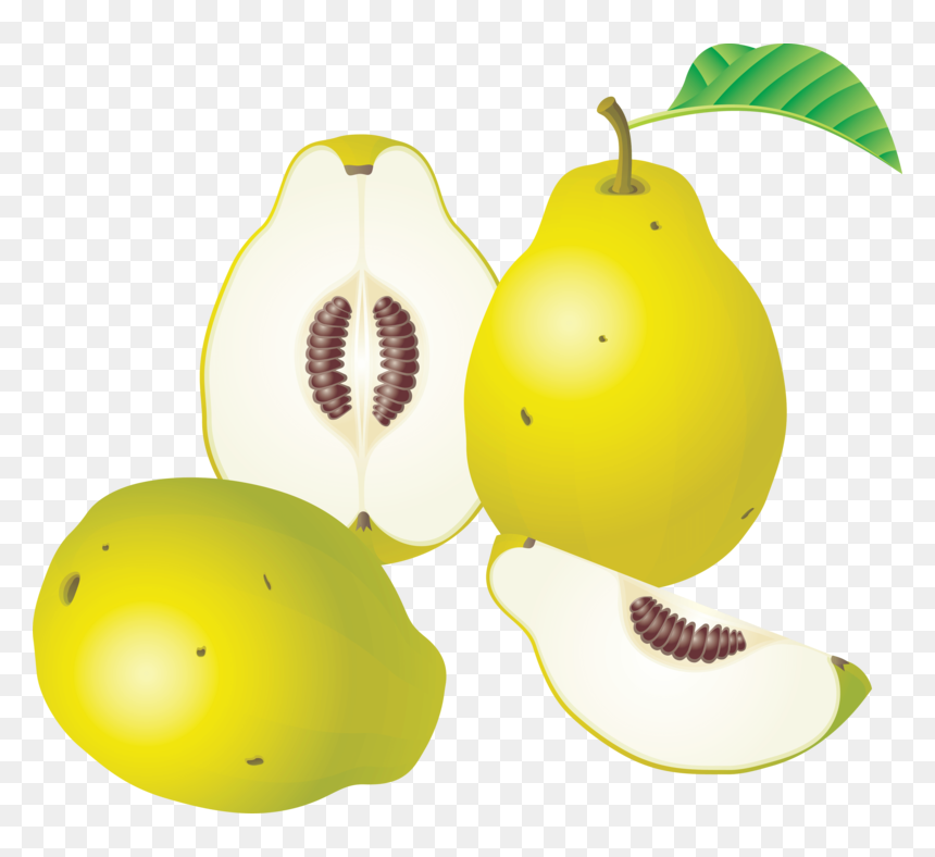 Pear Png Image - Fruit Clipart, Transparent Png - pear tree png