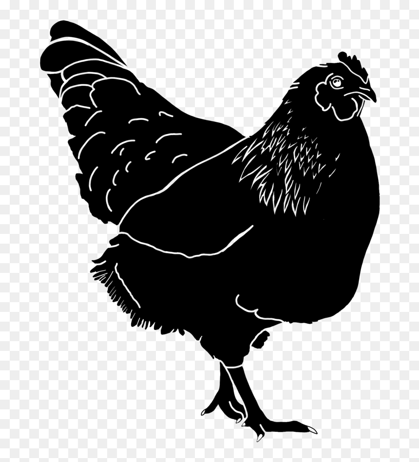 Black Chicken - Rooster, HD Png Download - white chicken png