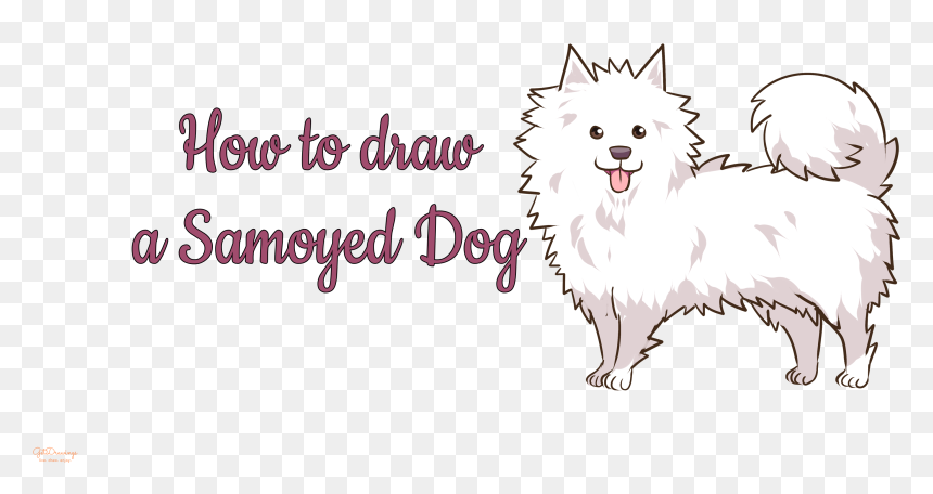 Japanese Spitz, HD Png Download - samoyed png