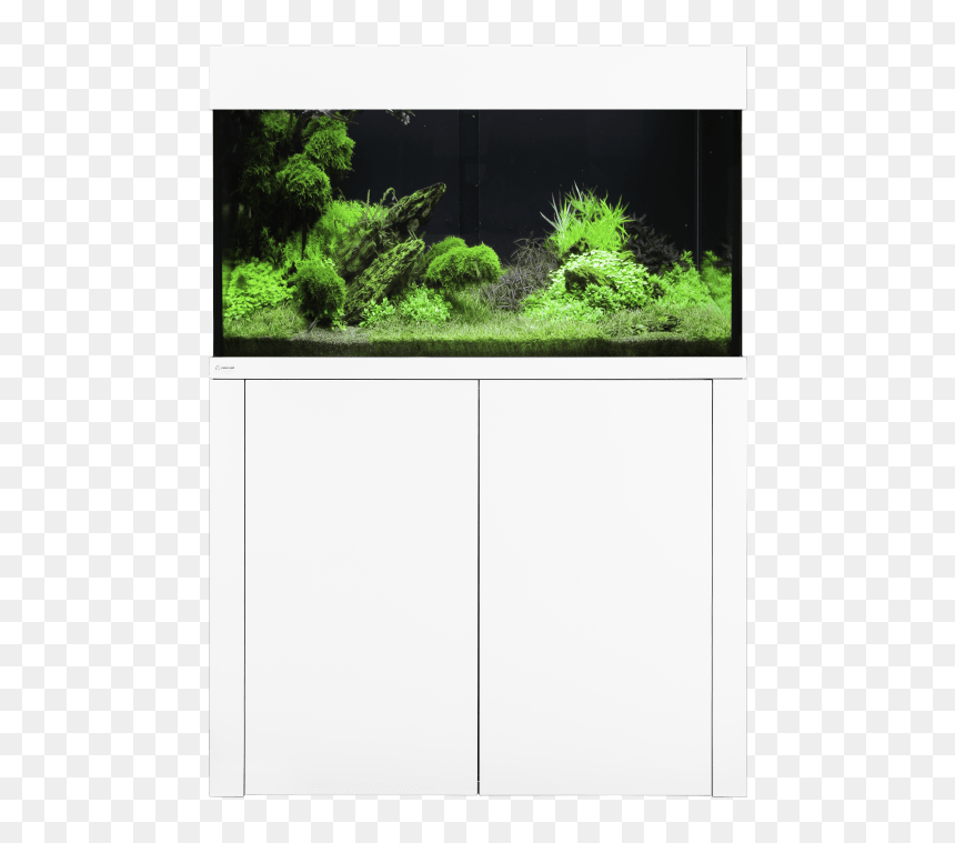 Aquarium, HD Png Download - sea plants png