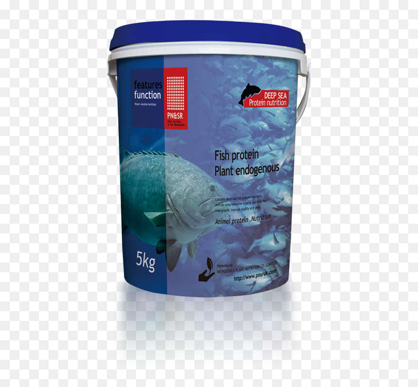 Shark, HD Png Download - sea plants png