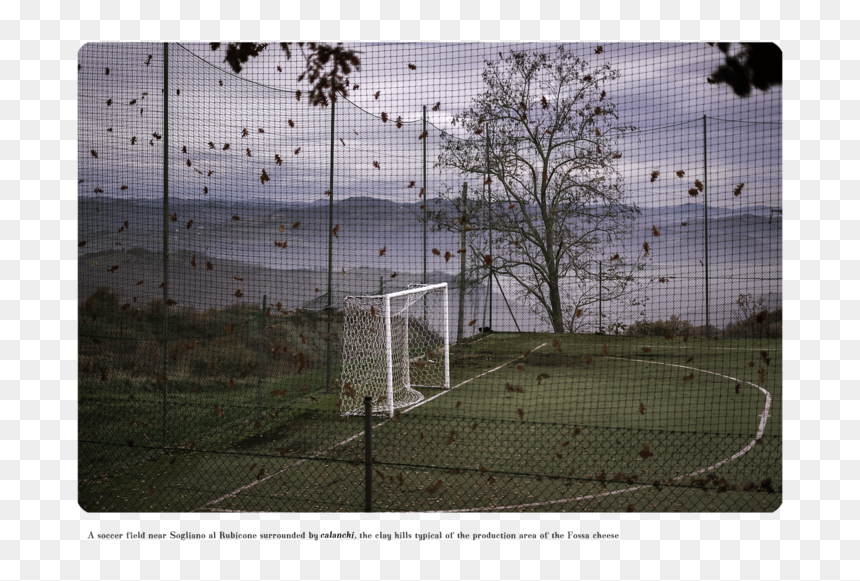 08 - Net, HD Png Download - old fence png