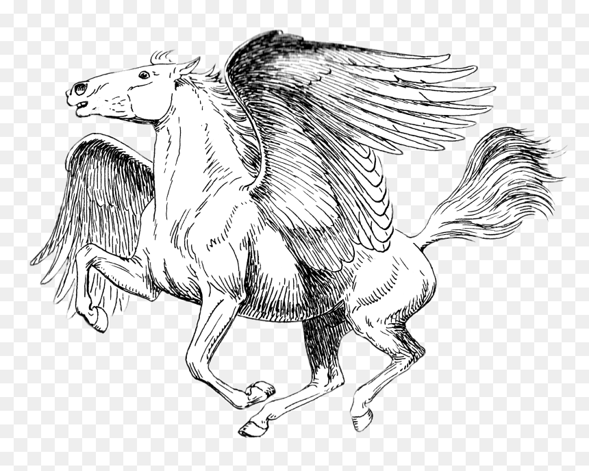 Pegasus Black And White Drawing - Pegasus Transparent, HD Png Download - bird drawing png