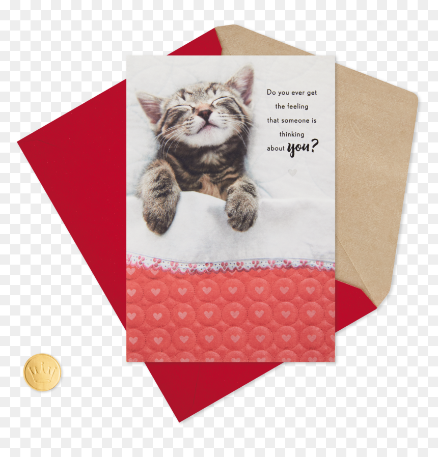 Kitten Sleeping Under Blanket Valentine"s Day Card - Squitten, HD Png Download - snoopy sleeping png
