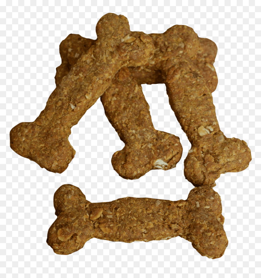 Tree, HD Png Download - dog biscuit png