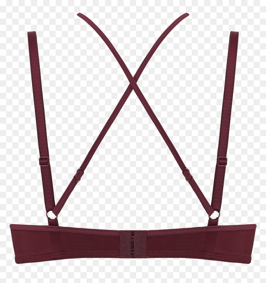 Regal Goddess Push Up Bra - Wood, HD Png Download - hipster triangle png