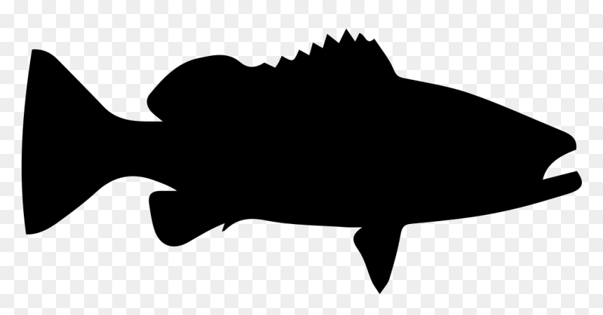 Cartoon Clip Art - Free White Grouper Fish Silhouette, HD Png Download - grouper png