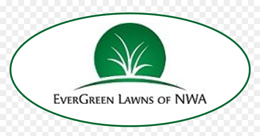 Label, HD Png Download - evergreen shrub png