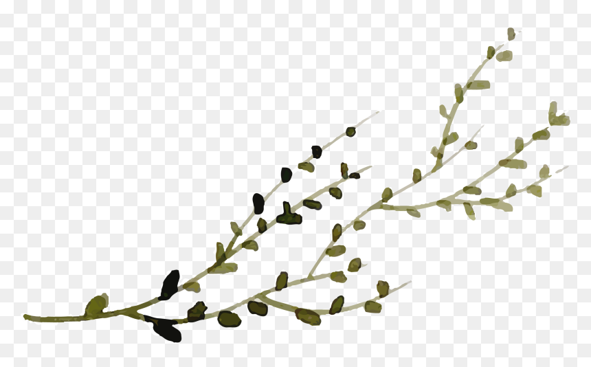 Twig, HD Png Download - watercolor plant png
