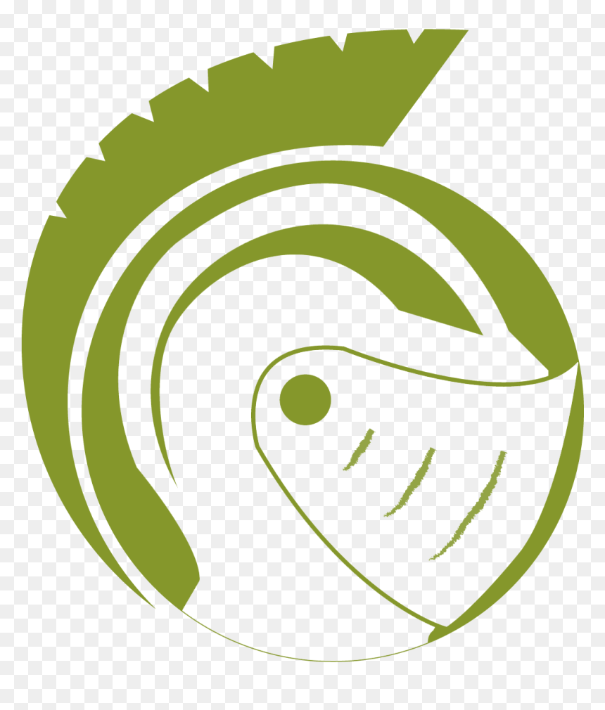 Tire Graphic, HD Png Download - warrior helmet png