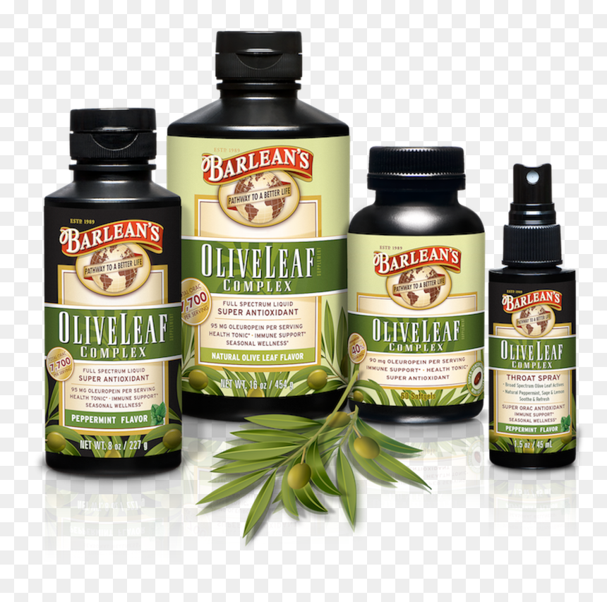 Bottle, HD Png Download - olive leaves png