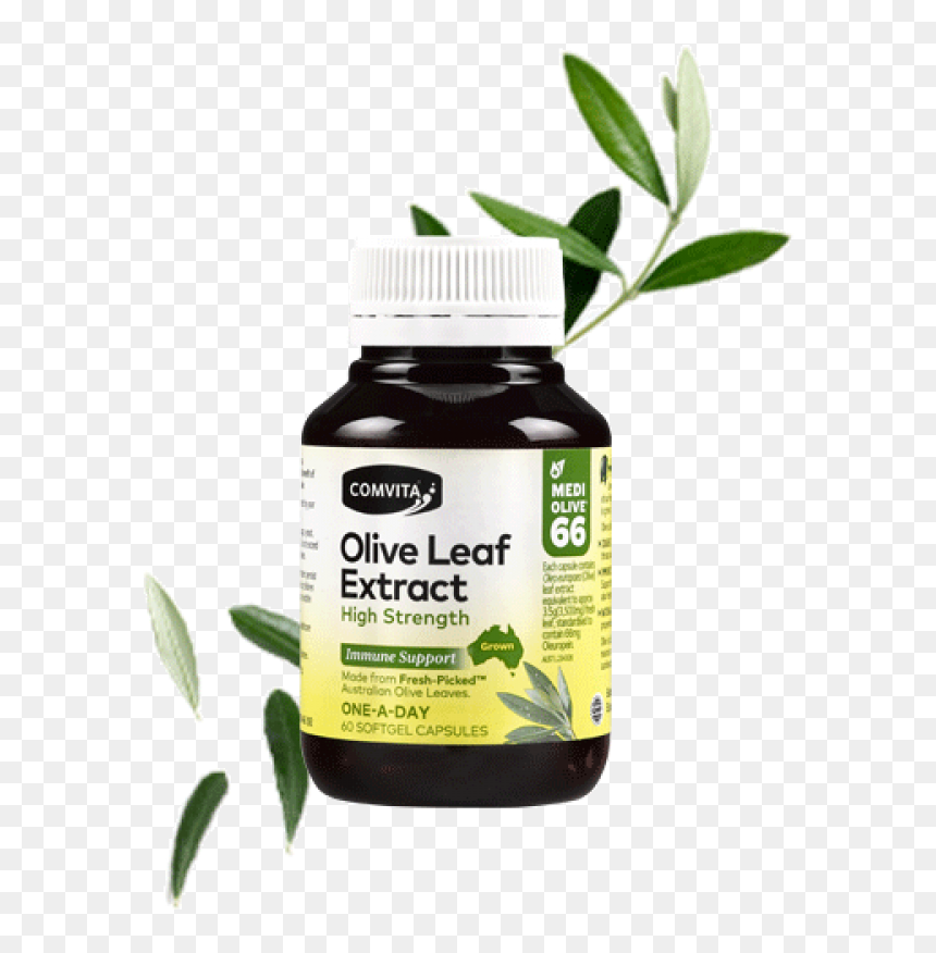 Olive Leaf Extract High Strength, HD Png Download - olive leaves png