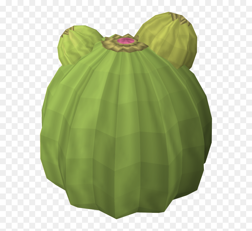 Miniskirt, HD Png Download - cactus.png