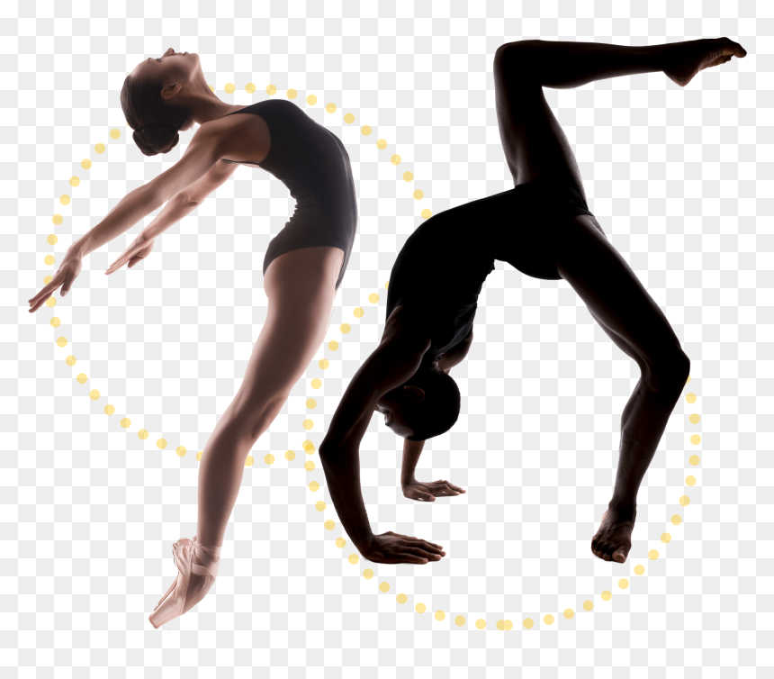 Essentials Of Anatomy And Physiology Seventh Edition, HD Png Download - angelina ballerina png