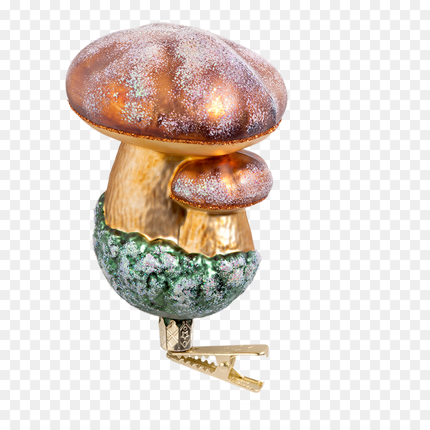 Penny Bun, HD Png Download - shiitake mushroom png