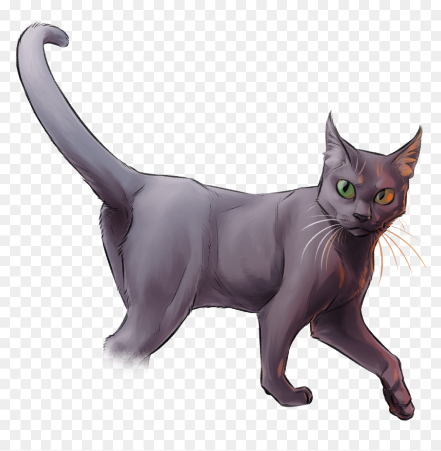D&d Grimalkin, HD Png Download - black cat ears png