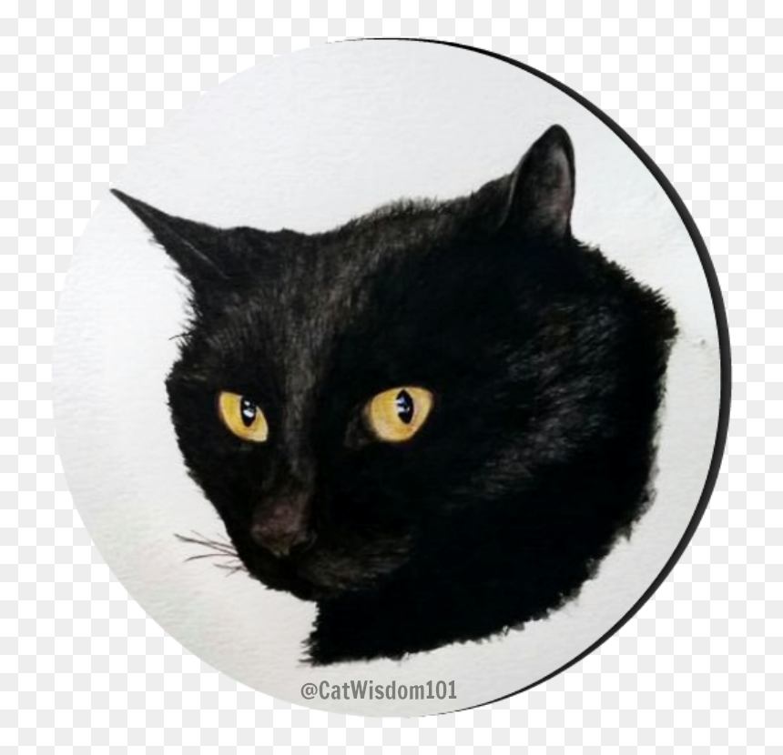 Clyde Cat Art Watercolor - Black Cat, HD Png Download - black cat ears png