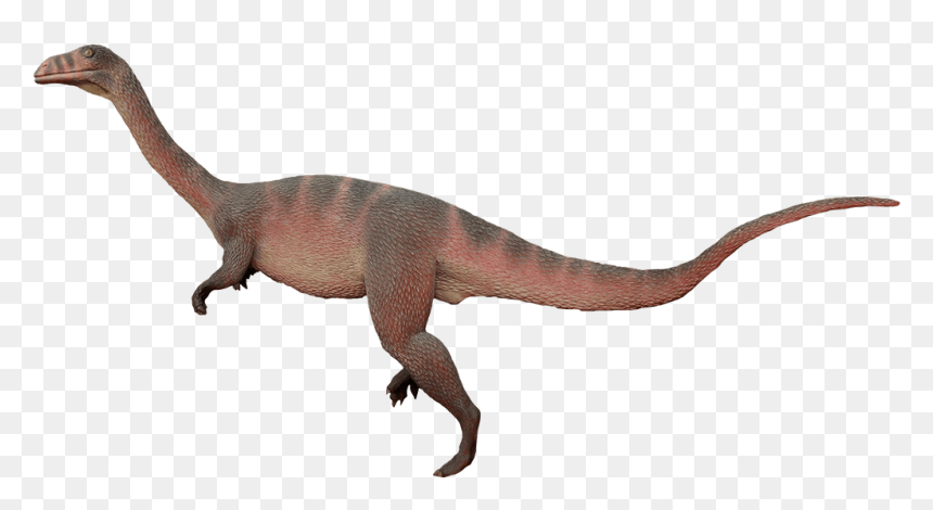 Dinosaurs Of Triassic Period Sellosaurus, HD Png Download - dinosaur footprints png
