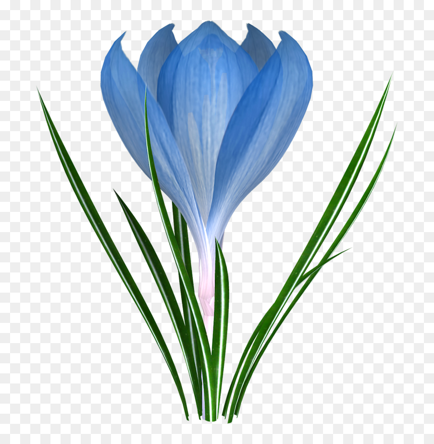 Фотки Flower Clipart, Easter, Leaves, Bud, Printables, - Пролісок Картинка Для Дітей, HD Png Download - flower bud png