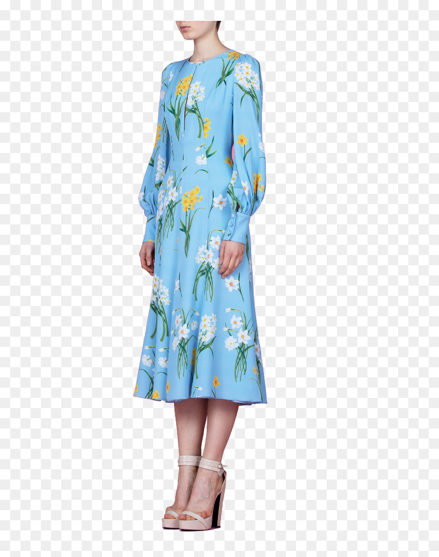 Model - Day Dress, HD Png Download - narcissus png