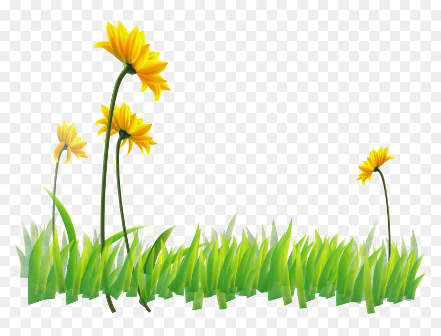 Transparent Narcissus Clipart - Noorani Qaida In Urdu Part 1 (audio), HD Png Download - narcissus png