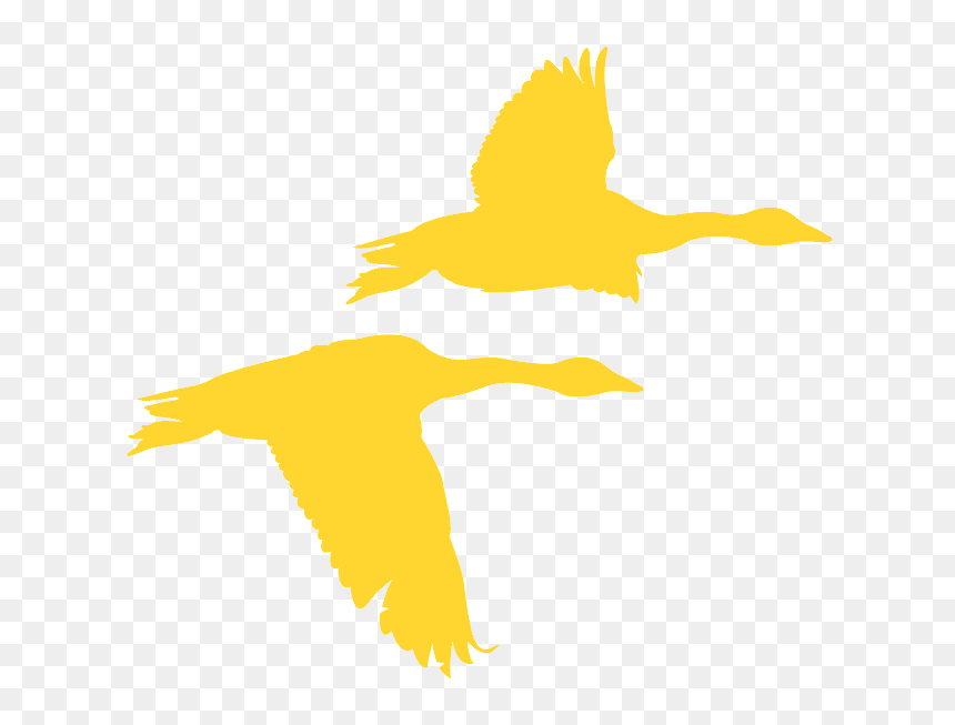Illustration, HD Png Download - geese flying png