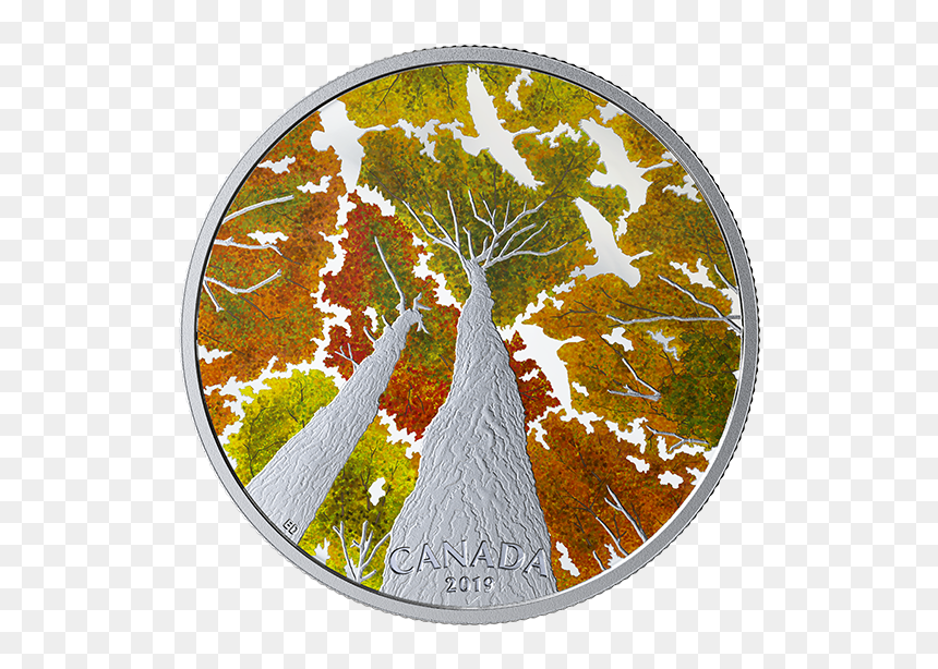 Canada Post Coins 2019, HD Png Download - geese flying png