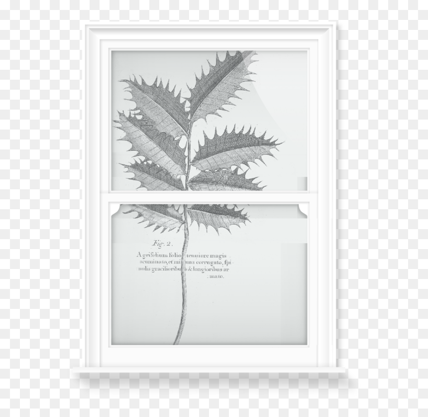 Picture Frame, HD Png Download - etch a sketch png