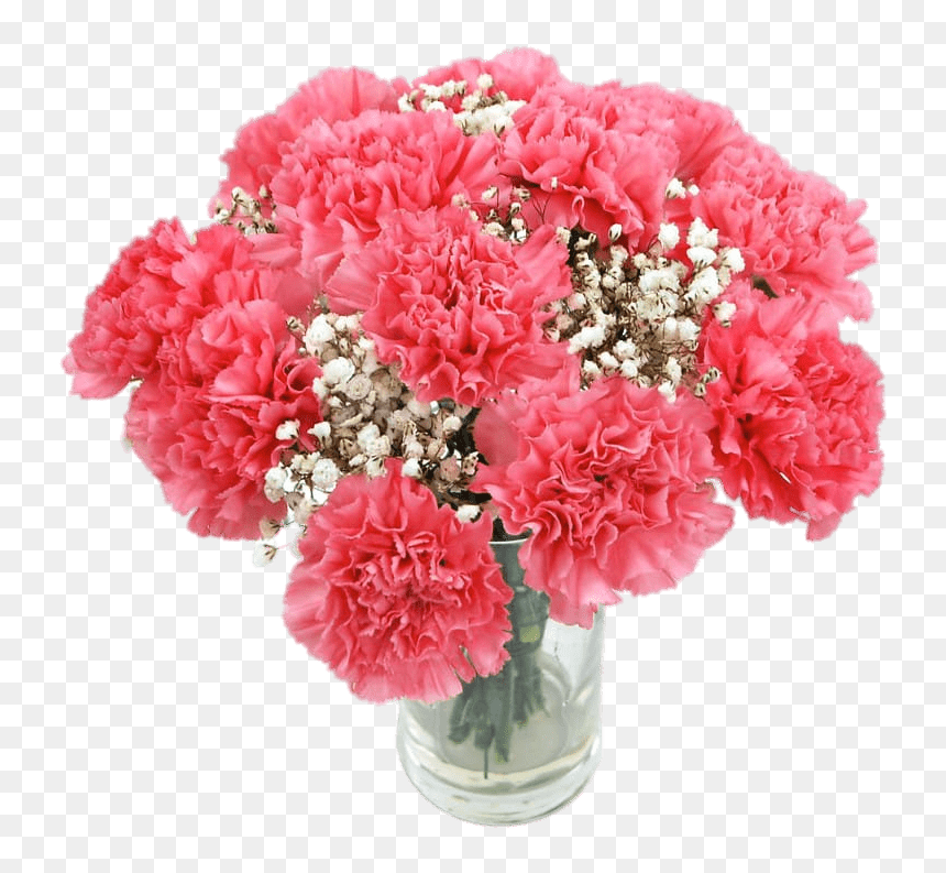 Pink Carnations, HD Png Download - carnations png