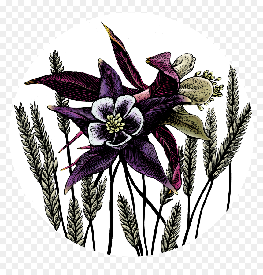 Lily Family, HD Png Download - columbine png