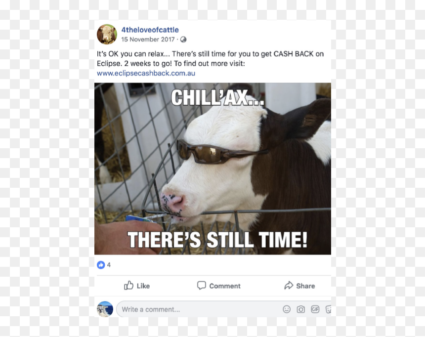 Boehringer Ingelheim Eclipse Facebook Post Cattle Sunglasses - Dairy Cow, HD Png Download - cash cow png