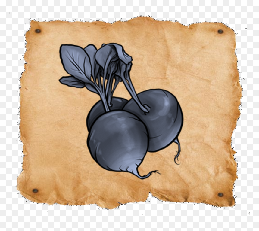 Wanted Radishes - Radish, HD Png Download - radishes png