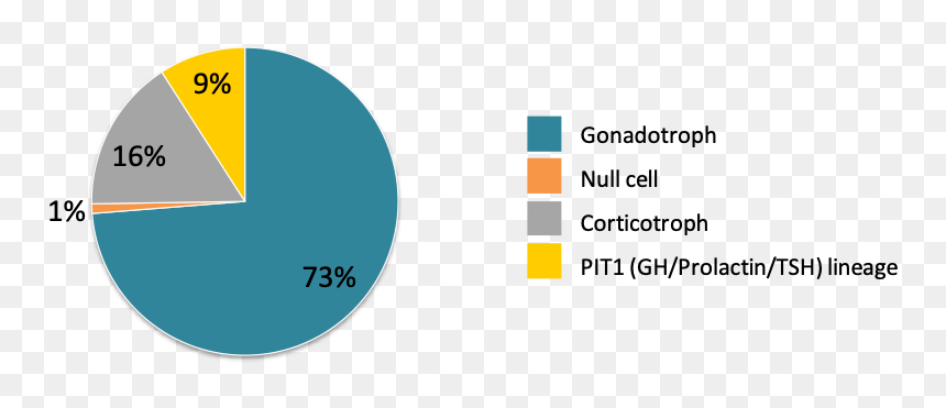 Non Functioning Pituitary Adenoma Frequency, HD Png Download - akira pill png