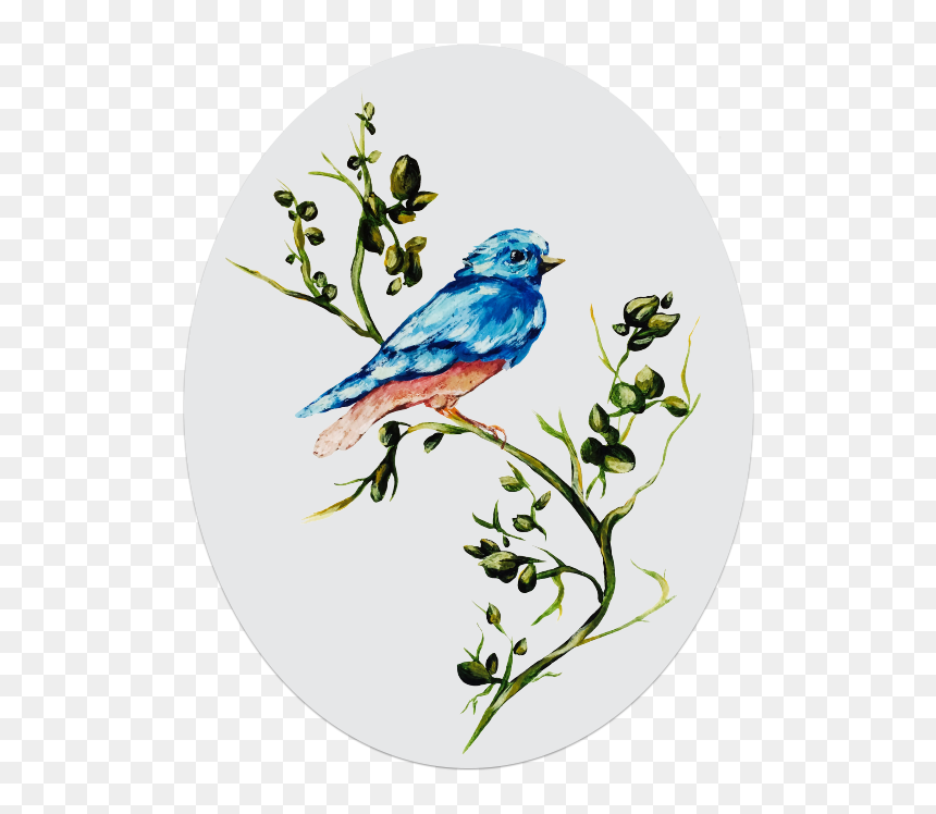 Mountain Bluebird, HD Png Download - window frost png
