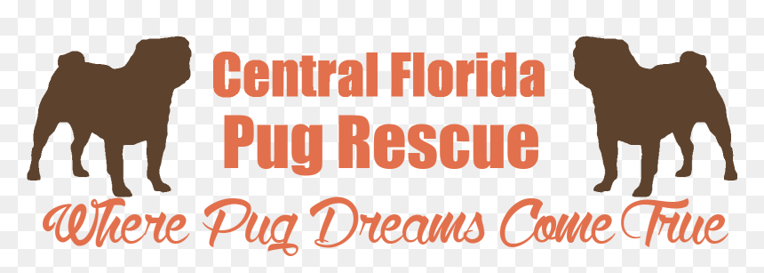 Central Florida Pug Rescue - Pug Rescue Florida, HD Png Download - cogsworth png